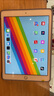 Apple苹果ipad9/10/Pro2022/21/20款 /air5/mini7/6二手平板电脑 iPad Pro 1代 9.7英寸 实拍图