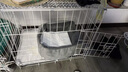 憨憨宠 狗笼猫笼 狗笼子小型犬带厕所幼犬折叠便携猫笼子宠物笼具兔笼 白色 侧出盘狗丝笼 60*42*50cm 实拍图