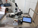 凤凰（Phenix）生物显微镜XSP-06光学放大1600倍 中小学生科学实验家用便携儿童 XSP-06-1600X 套餐三：特配+7寸显视屏一体屏 实拍图
