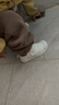 牧童幼儿园鞋春秋款室内鞋男童防撞学步鞋女宝宝小白鞋 校园白 24 实拍图