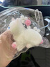 煦琪捏捏乐解压玩具减压飞雪仙喵立体猫流体可爱女生日礼物送闺蜜女友 实拍图