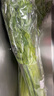 有机汇有机西芹 榨汁西芹有机芹菜汁出汁率高 有机种植无农残 新鲜采摘 2500g 实拍图
