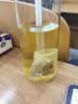 南京同仁堂枸杞茶蒲公英菊花决明子茶150g 养肝护眼熬夜排毒三伏天养生茶 实拍图