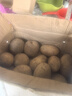 现挖当季土豆马铃薯农家自种新大洋芋生鲜蔬菜农产品黄皮黄心应季 带箱9斤大果《强力推荐》 实拍图