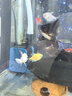 森森（SUNSUN）鱼缸水泵变频水泵潜水泵水族箱过滤器抽水鱼池过滤泵 10W变频 流量可调 带水管 实拍图