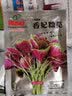 ldeal理想农业 苋菜种子大圆叶红苋菜种籽米苋汉菜长寿菜耐热蔬菜种子 实拍图