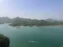 画宝刚 道口烧鸡 河南老字号 特产美食600克*2袋礼盒礼品 团购熟食卤鸡 实拍图