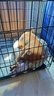 蒙贝 香酥牛棒骨 狗狗零食 中小型犬狗狗磨牙棒 泰迪金毛训犬奖励 90g 实拍图