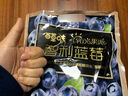 百草味 阳光果派智利蓝莓干300g 不加糖油水果干轻烘零食独立小包装  智利蓝莓干300g 实拍图