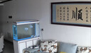 森森（SUNSUN）大型鱼缸底过滤水族箱客厅家用落地玻璃生态金鱼缸 超白隔断屏风款 1.2米长35cm宽（黑白可选） 实拍图