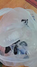聚创麒天然海盐鱼缸消毒杀菌盐水族观赏鱼专用锦鲤矿物粗盐鱼池塘养殖盐 大袋【50斤装】 实拍图