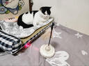 欢宠网智能猫玩具猫咪自动逗猫棒电动激光自嗨解闷神器猫猫小猫幼猫宠物 实拍图