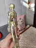 旭力星DIY人体器官骨骼模型儿童玩具人体立体拼装躯干内脏结构教类礼物 全透明款身体+骨架+内脏【可拆卸】 实拍图