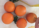 【顺丰】新鲜脐橙  湖北秭归九月红脐橙甜橙子新鲜当季水果 5斤中果 13-16个 实拍图