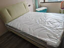 CBD家居乳胶床垫席梦思静音独袋弹簧软硬适中床垫乳胶垫金喜床垫 DBD002（偏硬护脊）护脊床垫 1500*2000 实拍图