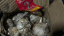 2025年新鲜紫皮干蒜可腌制腊八蒜9斤5斤整箱新晒干十成干紫皮干蒜 1000g 尝鲜中果 实拍图