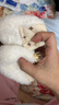 U&MUDI秋冬婴儿软底棉鞋0-1岁步前套脚0-3-12月男女宝宝毛毛鞋舒适不掉 咖啡色 建议0-12个月（内长12CM） 实拍图