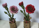 若物木艺繁花积木花diy手工花老师立体拼图毕业生日礼物 红康乃馨 实拍图