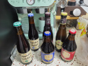 TRAPPISTES ROCHEFORT修道院系列 西麦尔/罗斯福/智美六口味礼盒330ml*6瓶 比利时进口 实拍图