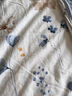 安睡宝（SOMERELLE）100%全棉床上四件套纯棉 床单款床上用品被套200*230cm1.5/1.8米 实拍图