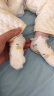 尼多熊婴儿袜子女春夏薄款棉袜新生儿宝宝无骨袜儿童袜子夏季透气网眼袜 实拍图