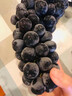 静羽云南夏黑蓝莓葡萄【顺丰】无籽提子新鲜现摘大颗粒孕妇时令水果 夏黑葡萄5斤【一级果礼盒装】 源头直发 实拍图