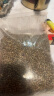 中大颗粒火麻子鸟食鸟粮鹦鹉粮鸽粮火麻仁仓鼠粮新麻子火麻仁 【1斤】中粒麻籽 500g 实拍图