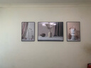 诗六艺家饰客厅装饰画北欧现代简约沙发背景墙挂画三联画大气轻奢壁画晶瓷画 瓶瓶安安（铝合金外框） 晶瓷画左右40*60+中间80*60亮面 实拍图