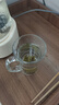 Ocean进口玻璃茶杯耐热泡茶杯带把家用待客水杯加厚大容量绿茶杯 能量把杯330ml+时尚把杯315ml 实拍图