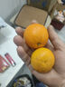 广西武鸣沃柑2025橘子新鲜水果当季一级沙糖蜜橘砂糖柑橘大果 中果(单果径60-65mm) 净重8.5斤 实拍图