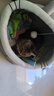 珑小宠猫窝冬天四季通用封闭式猫屋别墅狗窝小型犬加厚猫狗窝猫床猫舍 英短窝大号 实拍图