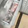 博世西门子（SIEMENS） 博世两门双门三门冰箱配件冷冻室抽屉 原厂配件 两三门冰箱冷冻抽屉239525 实拍图