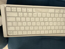 【95成新】Apple/苹果 妙控键盘-中文 (拼音) 带有触控ID(USB-C端口)蓝牙键盘无线键盘办公键盘 适用于MAC/iPad 实拍图