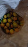 探味君 广西脆皮小金桔 应当季脆蜜滑黄皮小金桔橘桔子融安新鲜水果 净重4.5-5斤 中果（约45个/斤） 实拍图