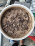鑫意碗莲种子室内盆栽荷花种子睡莲四季开花水培碗莲花卉种子植物种子 混色开口水培碗莲35粒+营养液 不含盆 实拍图