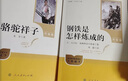 七年级下册人教版必读名著:骆驼祥子+钢铁是怎样炼成的（全套2册）人民教育出版社初一语文教材配套阅读 实拍图