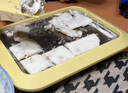 志高（CHIGO）炒酸奶机冰淇淋机家用炒冰机儿童DIY制冰机器家用自制炒奶冰炒冰网红炒冰盘神器 青草绿|小号【送冰铲*2】 实拍图