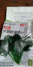 四季蔬菜种子大全菠菜香菜生菜油麦菜苋菜鸡毛菜芹菜矮脚黄蔬菜籽 四季生菜种子1包约3000粒 实拍图