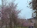 东美测亩仪北斗GPS高精度土地面积测量仪手持车载收割农机计亩器定位 全新升级丨覆盖全球99%丨大屏幕 实拍图