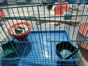 栗好嘉鸟笼鹦鹉笼子大全虎皮玄凤八哥画眉专用笼用品配件家用鸽子笼 中号40*27*30【套餐一】颜色备注 实拍图