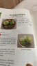 惊人的蔬菜汤（让身体恢复元气的医疗级蔬菜汤）  京东618活动 实拍图