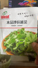 IDEAL理想农业 水晶沙拉冰菜种子四季盆栽农家蔬菜种籽水晶冰草菜种子 实拍图