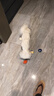 宜特（EETOYS）乳胶发声玩具球小号四件套狗狗玩具趣味互动磨牙陪伴解闷宠物用品 实拍图