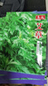 养生艾草种子艾叶香草四季播遏草驱蚊阳台盆栽泡澡种子大全 艾草种子 5包约2500粒 实拍图