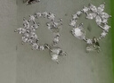 XUPING旭平首饰合金甜甜圈水滴日常百搭女生送生日礼物S00074059 晶莹白-水滴 女生 实拍图