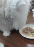 顽皮猫零食猫湿粮 鸡肉金枪鱼添加三文鱼85g 鲜炖补水0胶猫罐头 实拍图