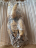 倾颜碗莲藕苗大型观赏荷花藕苗池塘水培盆栽池塘植物荷花苗莲花种藕根 实拍图