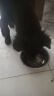 麦富迪狗粮 藻趣儿2.5kg 幼犬中大型小型犬通用（牛肉螺旋藻）金毛泰迪 实拍图
