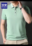 罗蒙（ROMON）送父亲冰丝凉感速干短袖t恤男士夏季薄款休闲翻领POLO上衣爸爸装 406青绿 3XL 185 建议175-195斤 实拍图