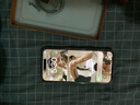 苹果17ProMax【国行正品】iphone17pro max  二手手机 5G国行Apple 全网通 赠品【下单不发货】 【严选99新】 256G 【24期免息】 【咨询客服】加购收藏后可领豪礼 实拍图